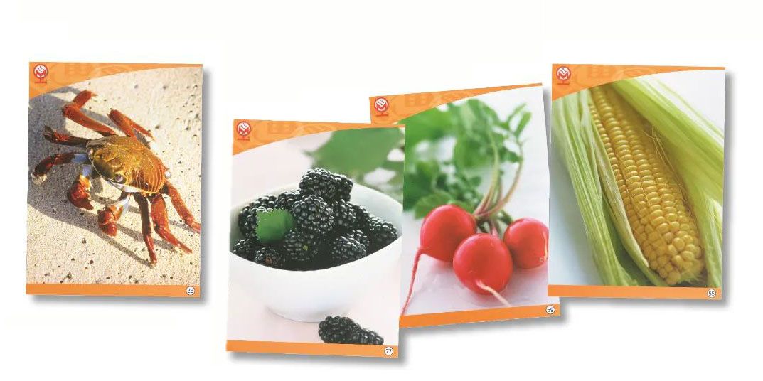 Versteckte Bilder Ergänzungs-Set