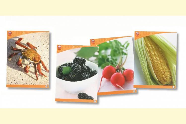 Versteckte Bilder Ergänzungs-Set